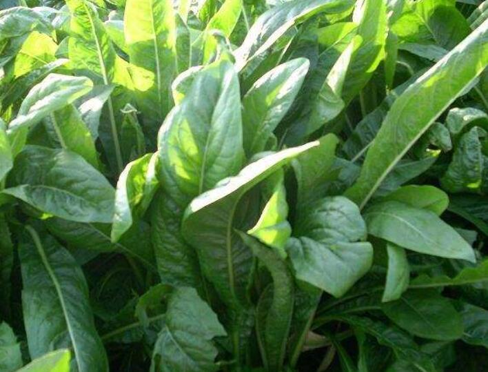 1646576324793855.jpg 1646576324793855.jpg