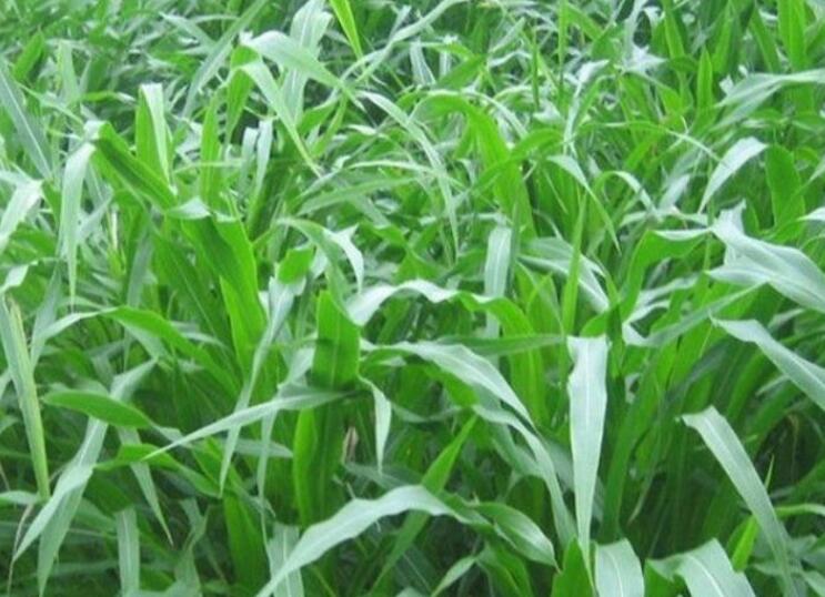 1646578717683940.jpg 1646578717683940.jpg