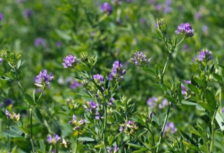 1646708983783464.jpg 2.jpg