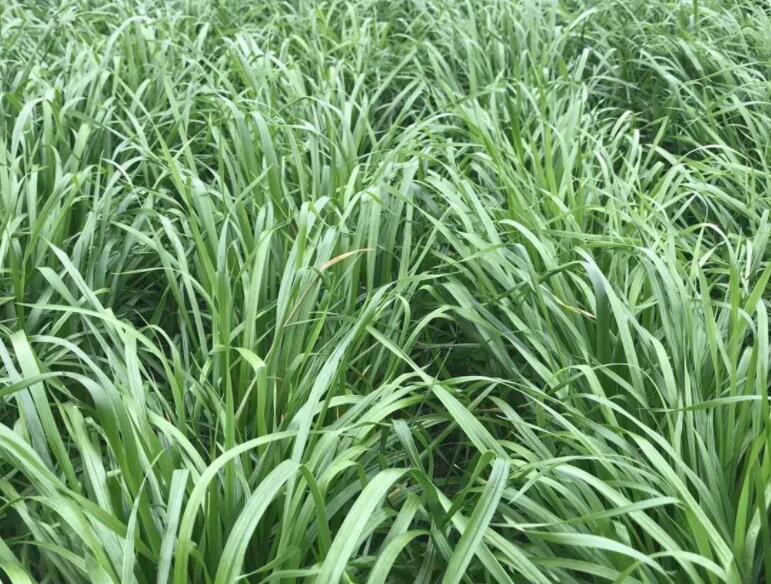 1646826823661756.jpg 1646826823661756.jpg