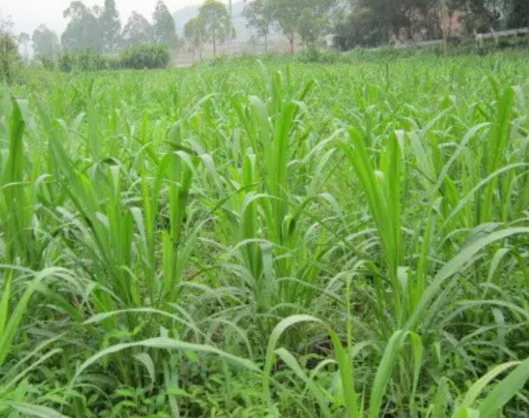 1647011796776084.jpg 2.jpg