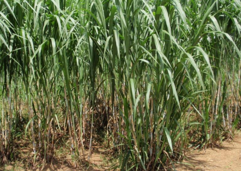 1647011901395183.jpg 3.jpg