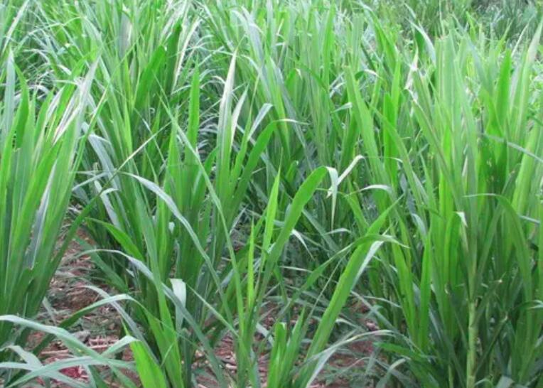 1647316555496021.jpg 3.jpg