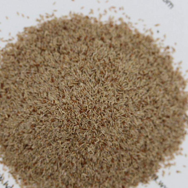 1647389265333718.jpg 1647389265333718.jpg