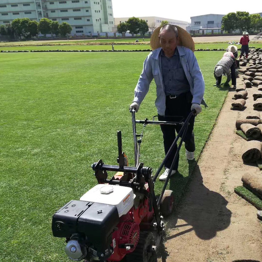 1647389266441881.jpg 1647389266441881.jpg