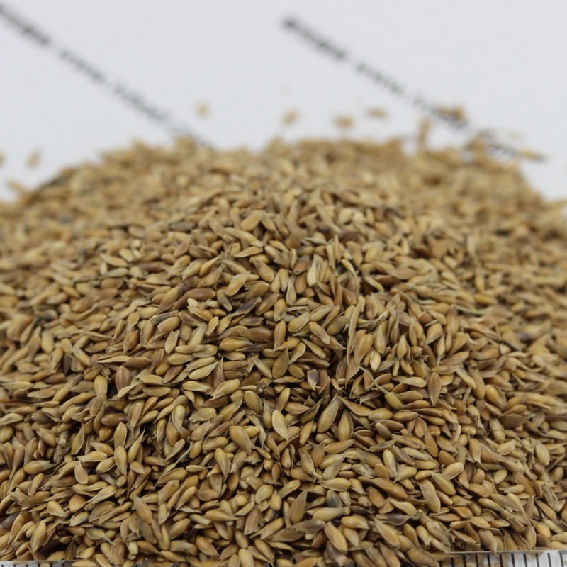 1647404471811828.jpg 1647404471811828.jpg