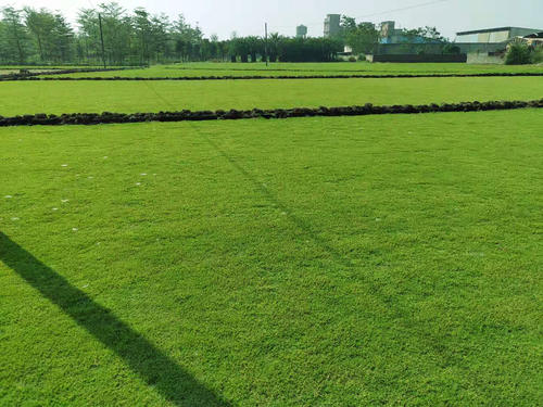 1647405764699340.jpg 1647405764699340.jpg