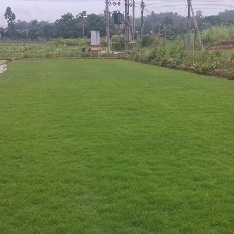 1647406756333776.jpg 1647406756333776.jpg