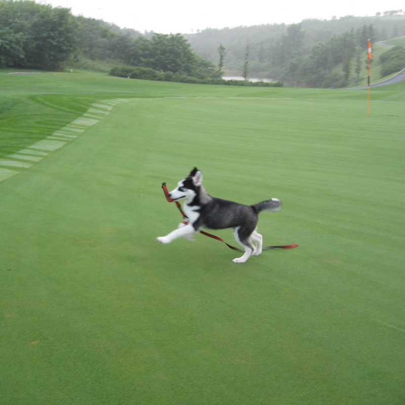 1647407684214497.jpg 1647407684214497.jpg