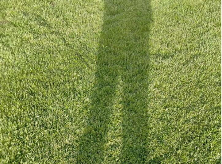 1647409307997750.jpg 1647409307997750.jpg