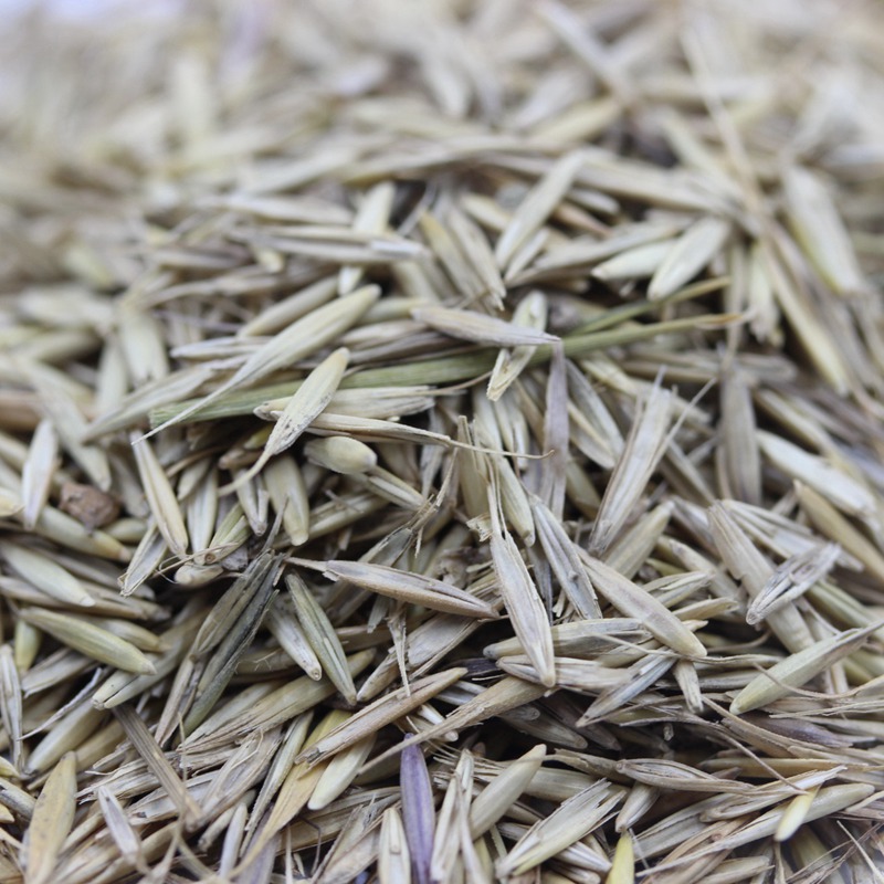 1647412935539064.jpg 1647412935539064.jpg