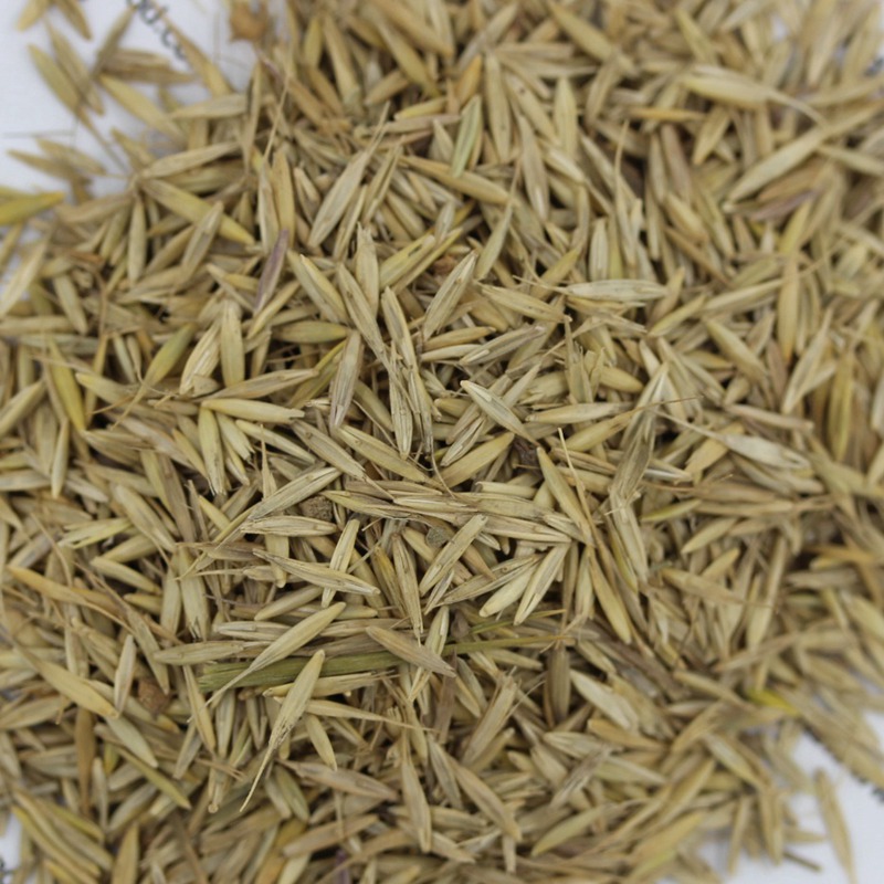 1647412935826877.jpg 1647412935826877.jpg