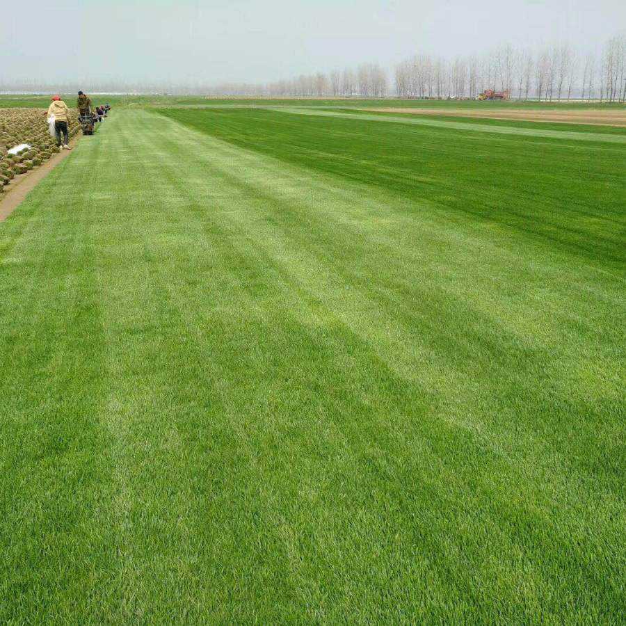 1647413528392885.jpg 1647413528392885.jpg