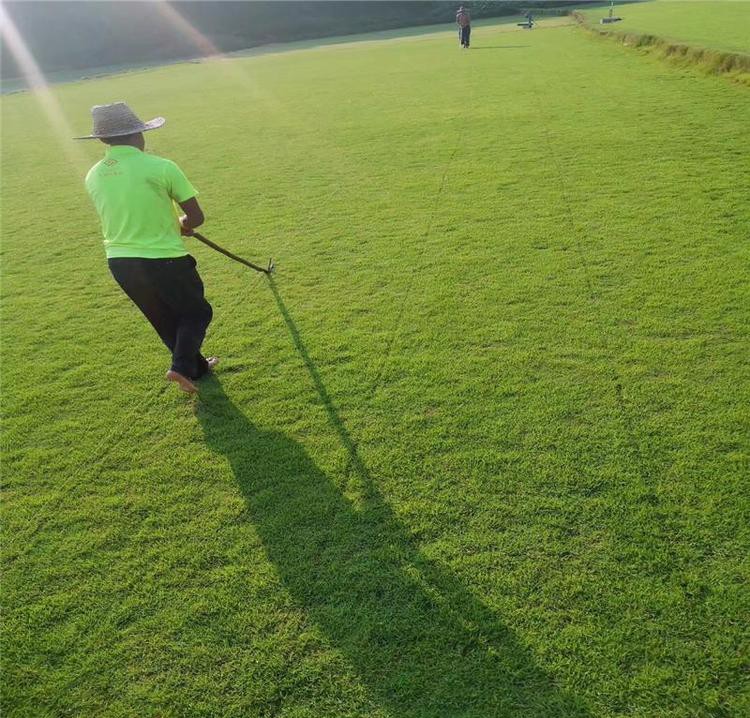 1647430025887957.jpg 1647430025887957.jpg