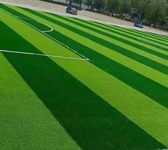 1647432492516474.jpg 1647432492516474.jpg