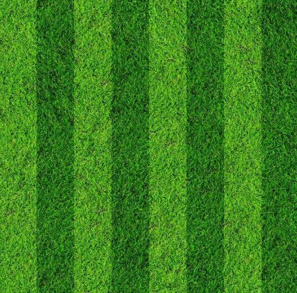 1647432880336535.jpg 1647432880336535.jpg