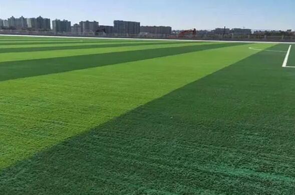 1647432880623319.jpg 1647432880623319.jpg