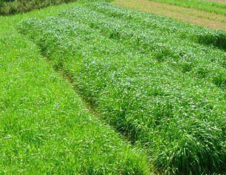 1647775970586293.jpg 3.jpg