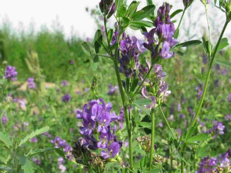 1647777613204255.jpg 1.jpg