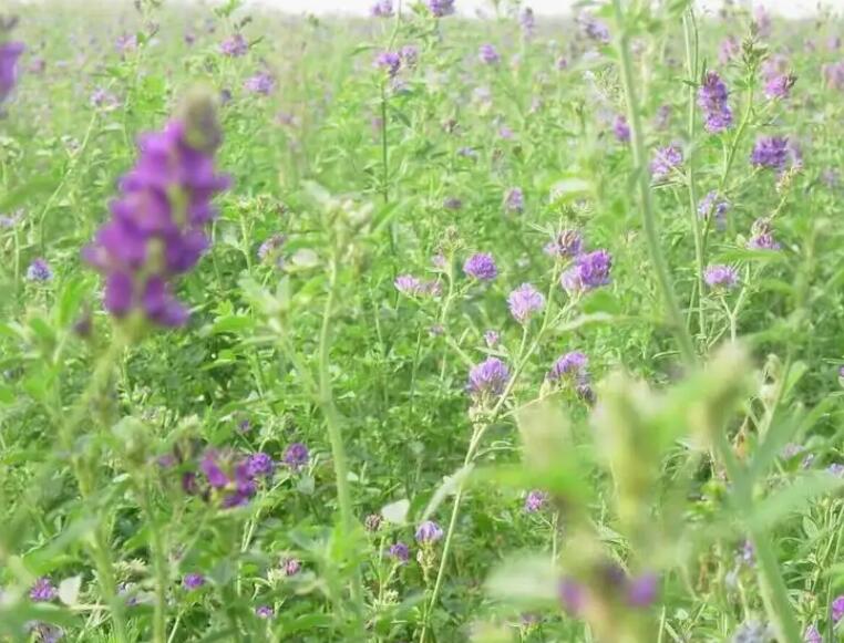 1647777624554434.jpg 2.jpg