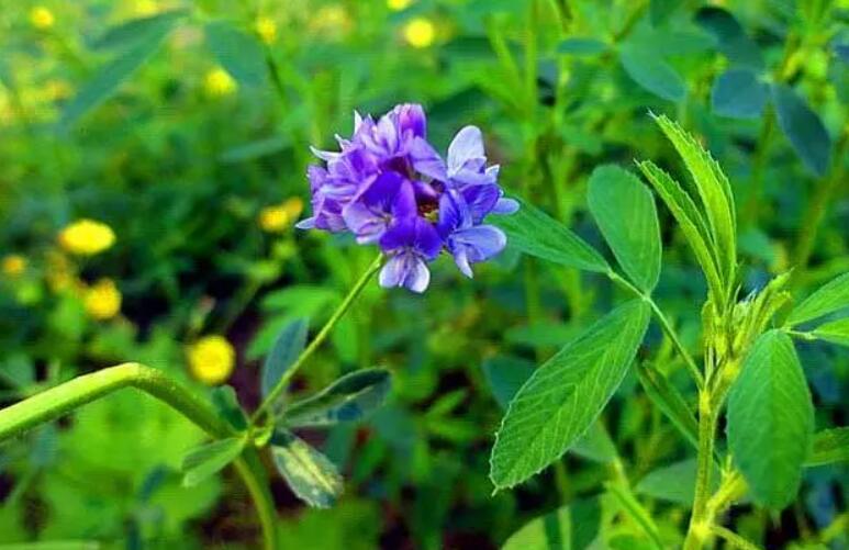 1647784828268087.jpg 1.jpg