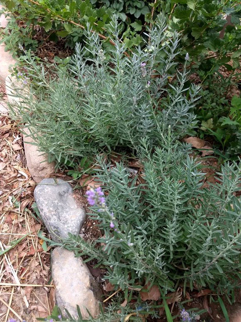 1648273522336725.jpg 1648273522336725.jpg