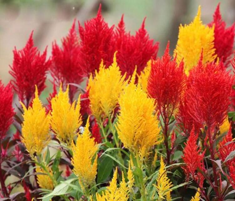 1648273827528151.jpg 1648273827528151.jpg