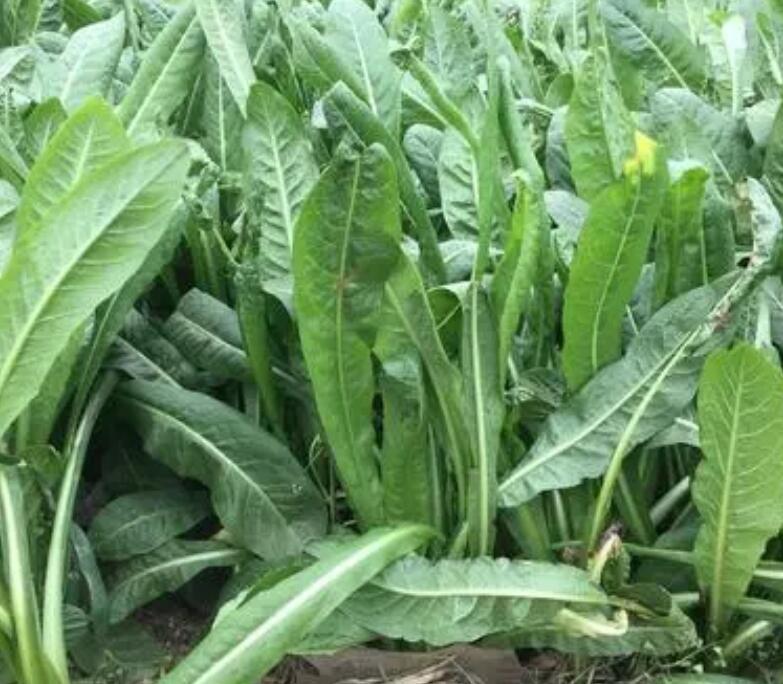 1649246300335893.jpg 1649246300335893.jpg