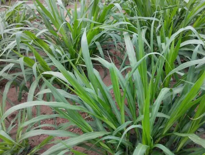 1649427120956969.jpg 2.jpg