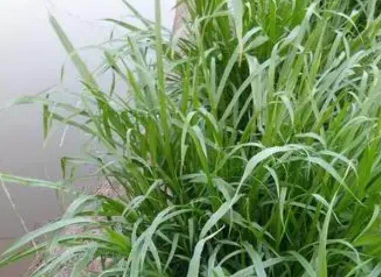 1649427128218321.jpg 3.jpg