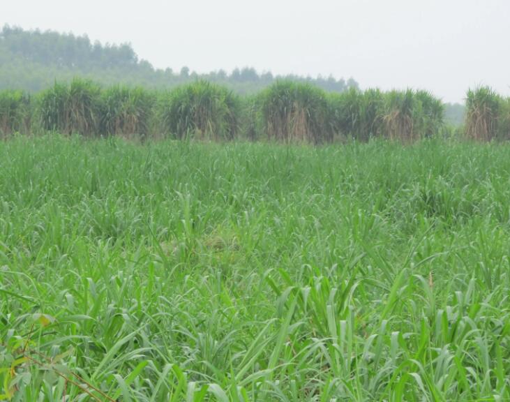 1649429314489885.jpg 2.jpg