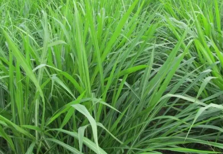 1649511122612176.jpg 1.jpg