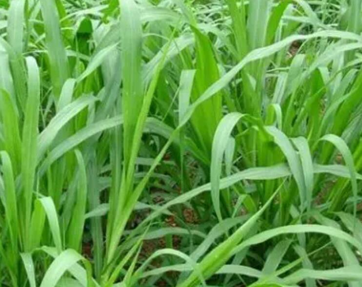 1649511131522306.jpg 2.jpg