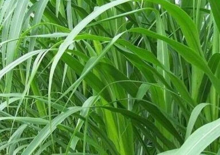 1649513016108149.jpg 1.jpg