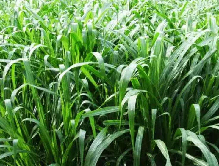 1649658328233806.jpg 1.jpg