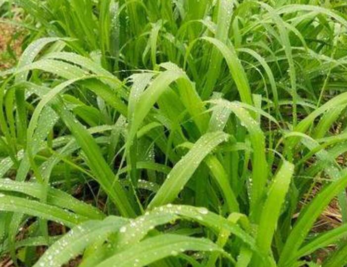 1650002056176580.jpg 3.jpg