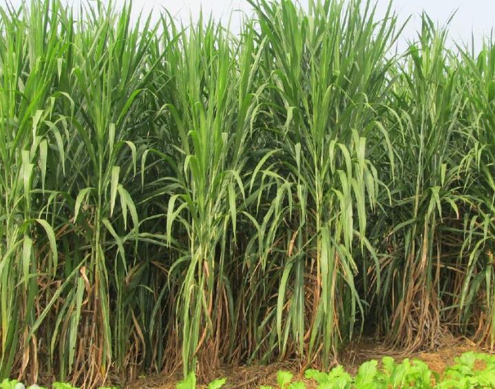 1650115006568307.jpg 1.jpg