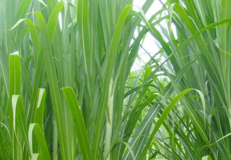 1650121032194524.jpg 1.jpg