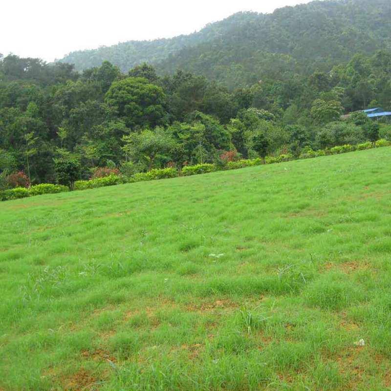 1650195635288826.jpg 1650195635288826.jpg