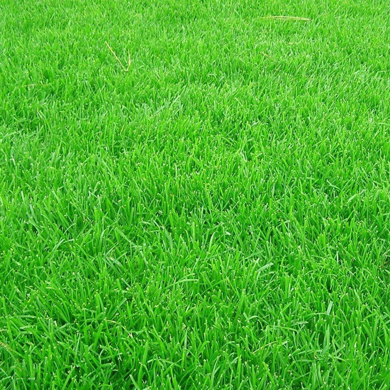 1650196188621950.jpg 1650196188621950.jpg