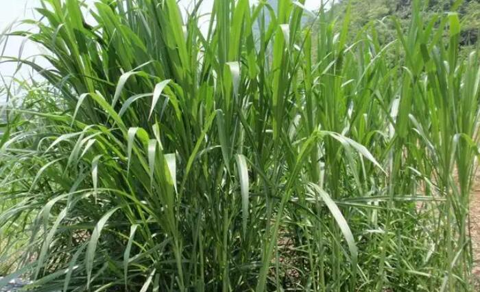 1650201970802522.jpg 1650201970802522.jpg