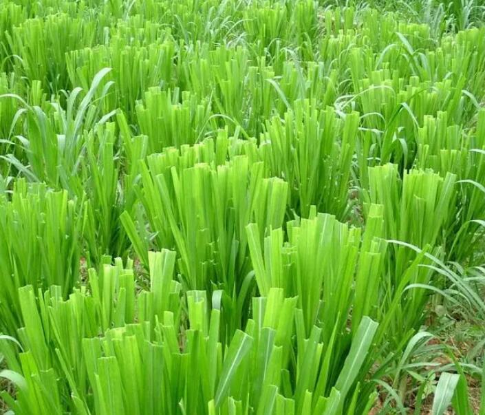 1650202013695702.jpg 1650202013695702.jpg