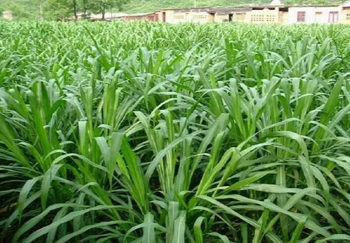 1650202806130270.jpg 1650202806130270.jpg