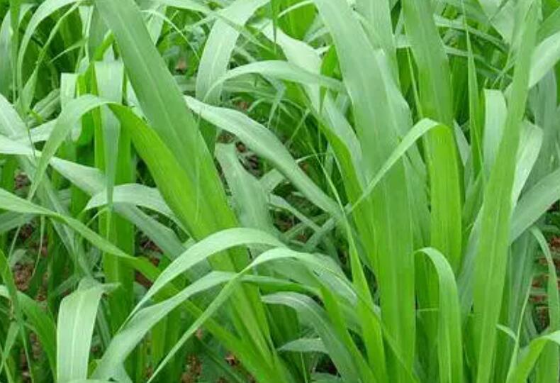 1650202883594999.jpg 2.jpg