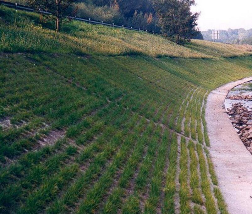 1650272984566064.jpg 1650272984566064.jpg