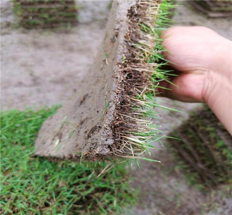 1650273868167269.jpg 1650273868167269.jpg