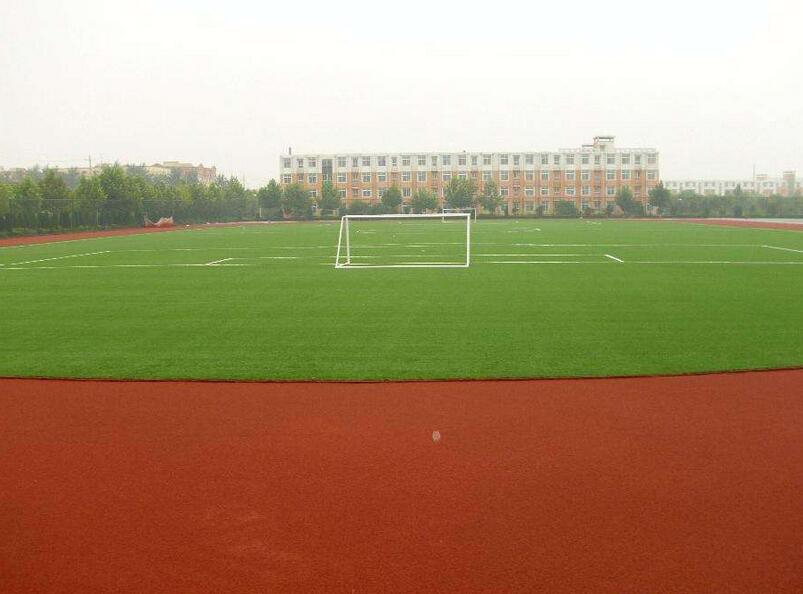 1650287168784677.jpg 1650287168784677.jpg