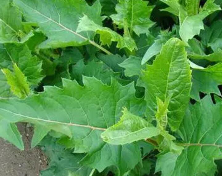 1653576267663026.jpg 3.jpg